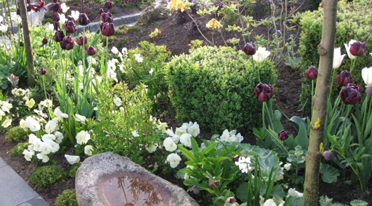 Havedesign ved Ã
rhus, silkeborg og skanderborg design din have Havedesign inspiration